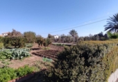 Casa de camp amb terreny en venda a la España, El Carpio, ref.: TR314927 foto