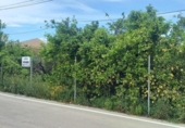 Sòl urbà en venda a la España, Múrcia, ref.: TR312635 foto