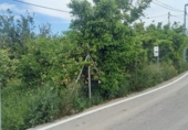 Sòl urbà en venda a la España, Múrcia, ref.: TR312635 foto