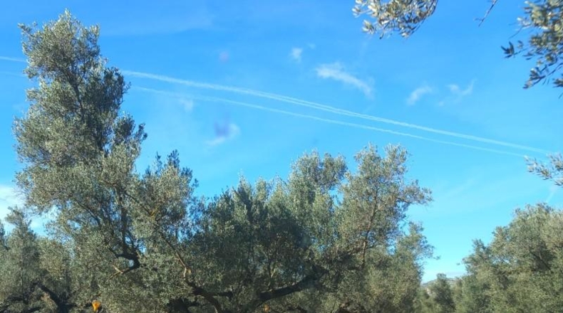 Tarragona - Mas de Barberans - 106028m2