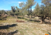 Terreno no urbanizable en venta en la España, Mas de Barberans, ref: TR318298 foto