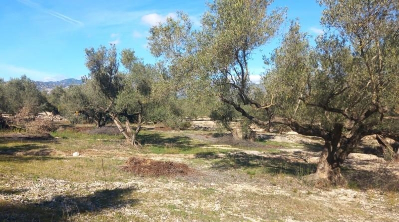 Tarragona - Mas de Barberans - 106028m2