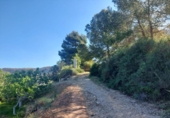 Finca rústica en venda a la España, Elx, ref.: TR284121 foto