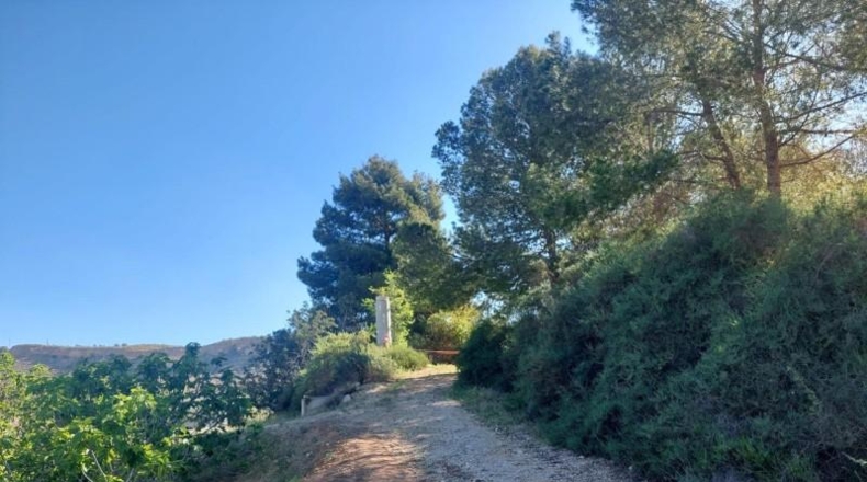 Alicante - Elche - 11000m2