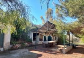 Finca rústica en venda a la España, Elx, ref.: TR284121 foto