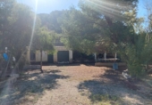Finca rústica en venda a la España, Elx, ref.: TR284121 foto