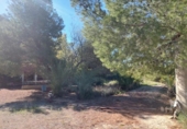 Finca rústica en venda a la España, Elx, ref.: TR284121 foto