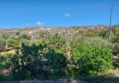 Finca rústica en venda a la España, Elx, ref.: TR284121 foto