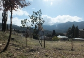 Urban land for sale on España, Viladrau, ref: TR313153 photo