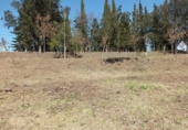 Urban land for sale on España, Viladrau, ref: TR313153 photo