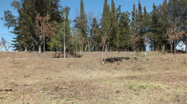 Gerona - Viladrau - 1360m2