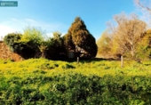 Finca rústica en venda a la España, Santiago de Compostel·la, ref.: TR311958 foto