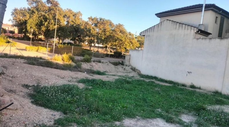 Múrcia - Molina de Segura - 358m2