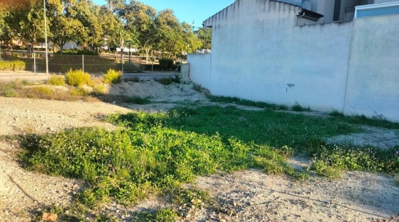 Múrcia - Molina de Segura - 358m2