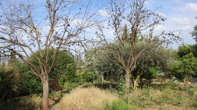 Córdoba - Córdoba - 1400m2