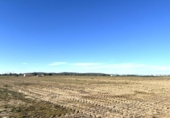 Non-developable land for sale on España, Don Benito, ref: TR241988 photo