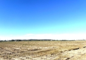 Non-developable land for sale on España, Don Benito, ref: TR241988 photo