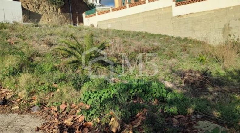 Malaga - Torrox - 445m2