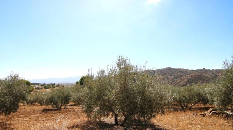 Málaga - Pizarra - 18606m2