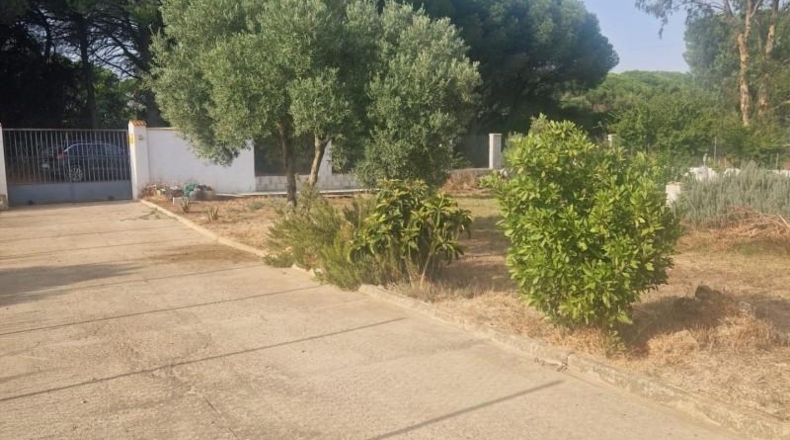 Cádiz - Пуэрто-Реаль - 1650m2