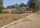 Casa de camp amb terreny en venda a la España, Puerto Real, ref.: TR356165 foto