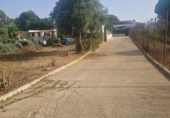 Casa de camp amb terreny en venda a la España, Puerto Real, ref.: TR356165 foto