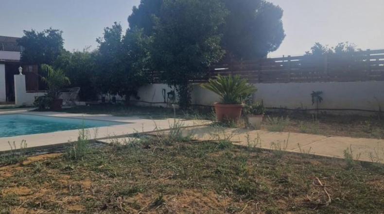 Cádiz - Puerto Real - 1650m2