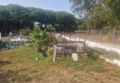 Casa de camp amb terreny en venda a la España, Puerto Real, ref.: TR356165 foto