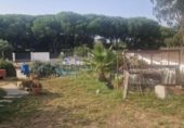 Casa de camp amb terreny en venda a la España, Puerto Real, ref.: TR356165 foto