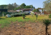 Terreny no urbanitzable en venda a la España, Puerto Real, ref.: TR168645 foto