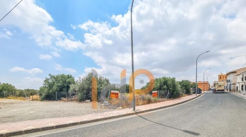 Almería - Huércal-Overa - 3385m2