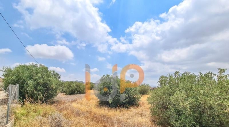 Almería - Huércal-Overa - 3385m2