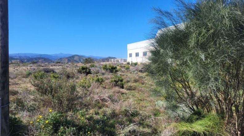 Almería - Albox - 1870m2