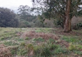 Terreno no urbanizable en venta en la España, Miengo, ref: TR372496 foto
