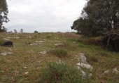 Terreno no urbanizable en venta en la España, Miengo, ref: TR372496 foto