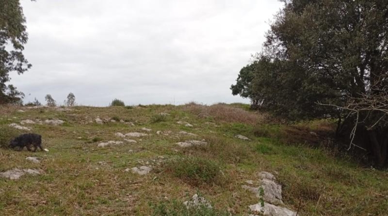 Cantabria - Miengo - 6014m2