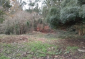 Terreno no urbanizable en venta en la España, Miengo, ref: TR372496 foto