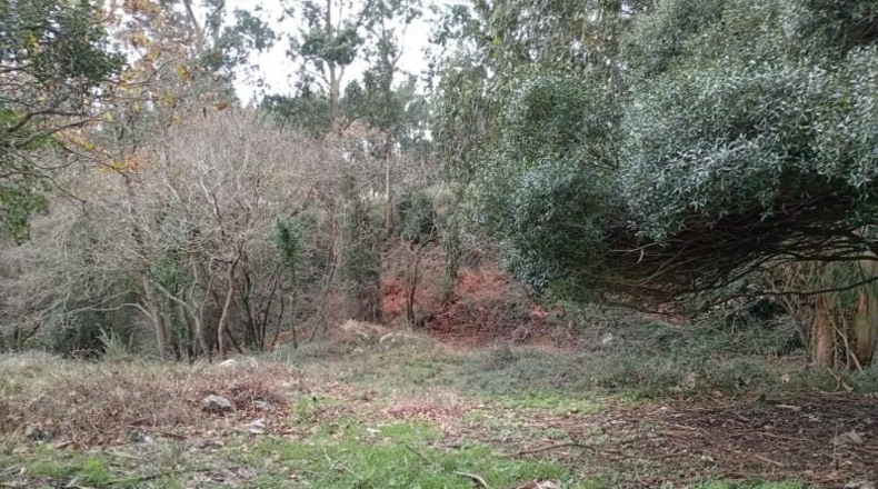 Cantabria - Miengo - 6014m2