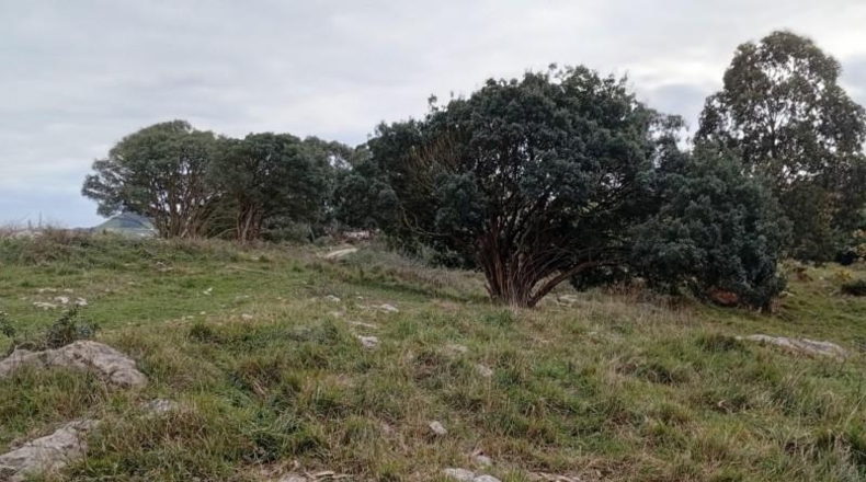 Cantabria - Miengo - 6014m2