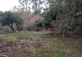 Terreno no urbanizable en venta en la España, Miengo, ref: TR372496 foto