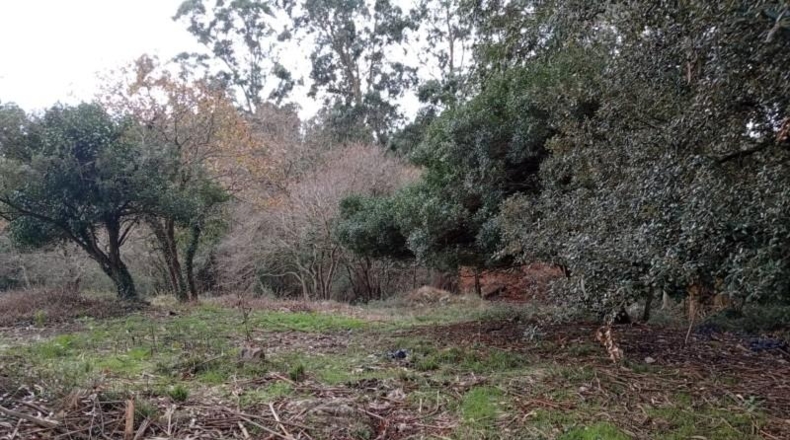 Cantabria - Miengo - 6014m2
