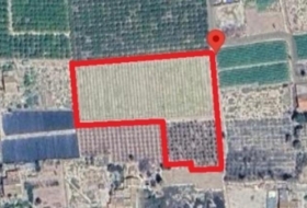Elx 12000&nbsp;m² 