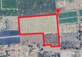 Terreny no urbanitzable en venda a la España, Elx, ref.: TR372784 foto