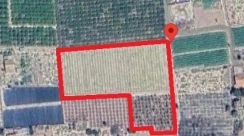 Alicante - Эльче - 12000m2