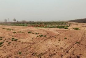 Elx 12000&nbsp;m² 