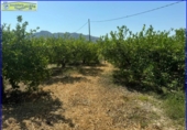 Xalet independent amb terreny en venda a la España, Santomera, ref.: TR166819 foto