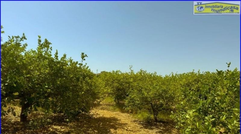 Murcia - Santomera - 10726m2