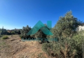 Parcel·la urbanitzable en venda a la España, Casar de Cáceres, ref.: TR171098 foto