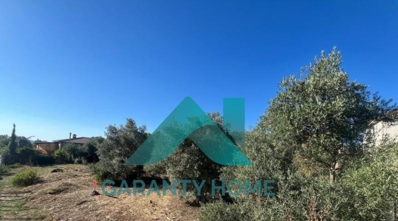 Cáceres - Cáceres - 510m2
