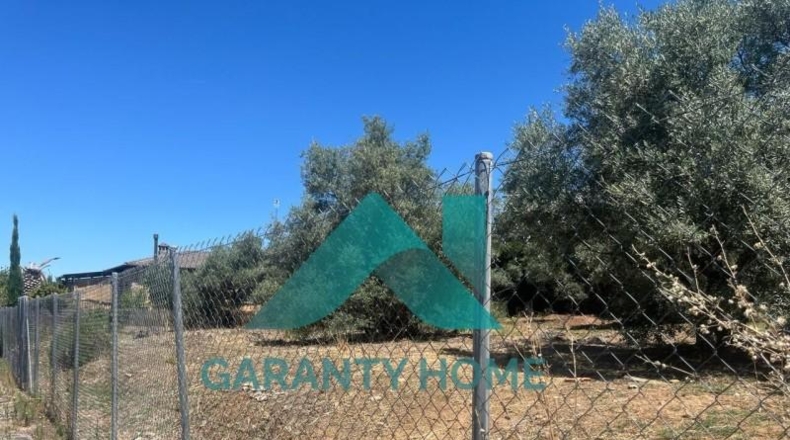 Cáceres - Cáceres - 510m2